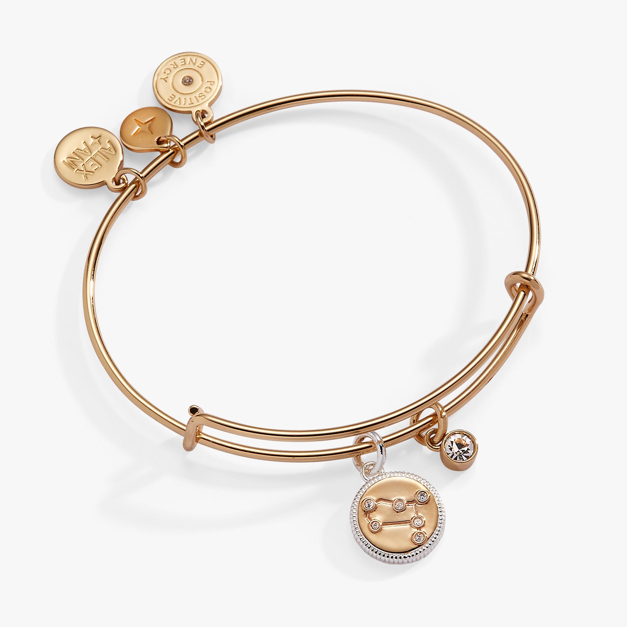 Gemini Zodiac Charm Bangle, Bracelets, $ 34.00, A Moment Of Now™