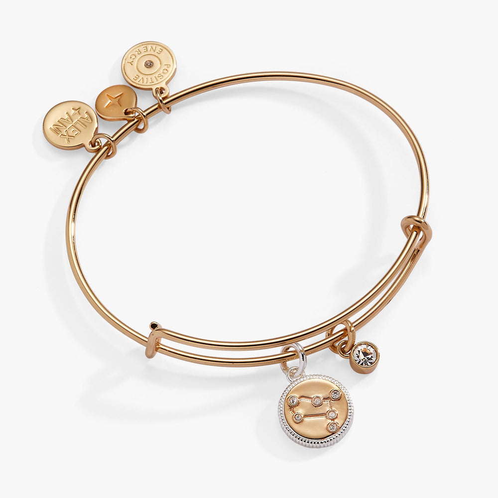 Gemini Zodiac Charm Bangle, Bracelets, $ 34.00, A Moment Of Now™