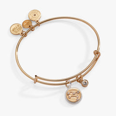 Gemini Zodiac Charm Bangle, Bracelets, $ 34.00, A Moment Of Now™