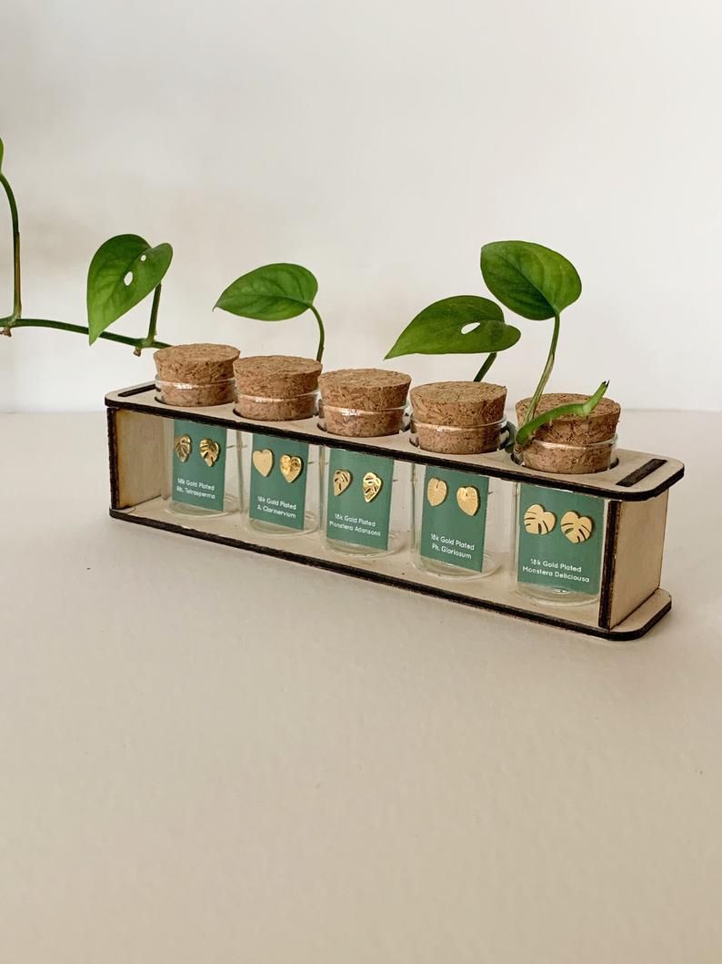 Custom Etched Propagation Stand + 3 Set Houseplant Earring Studs