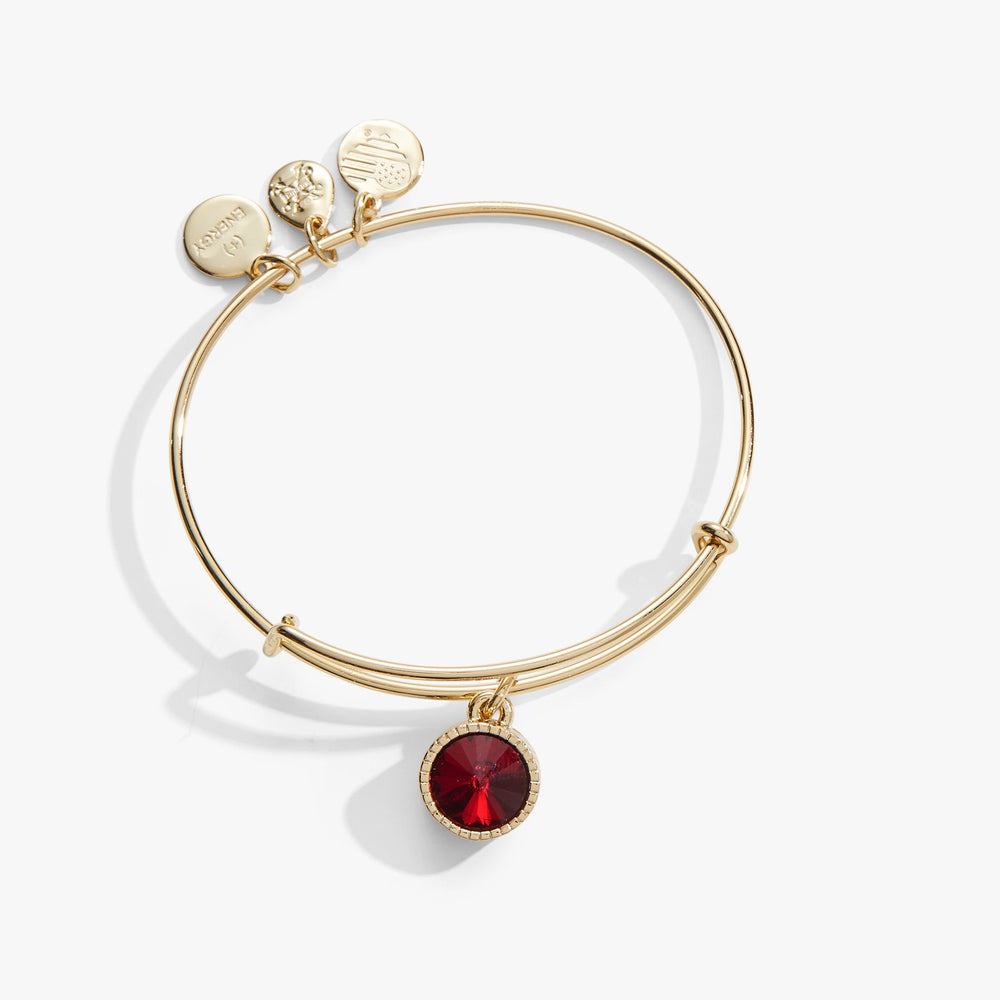 January Birthstone Charm Bangle, Scarlet, Bracelets, $ 28.00, A Moment Of Now™