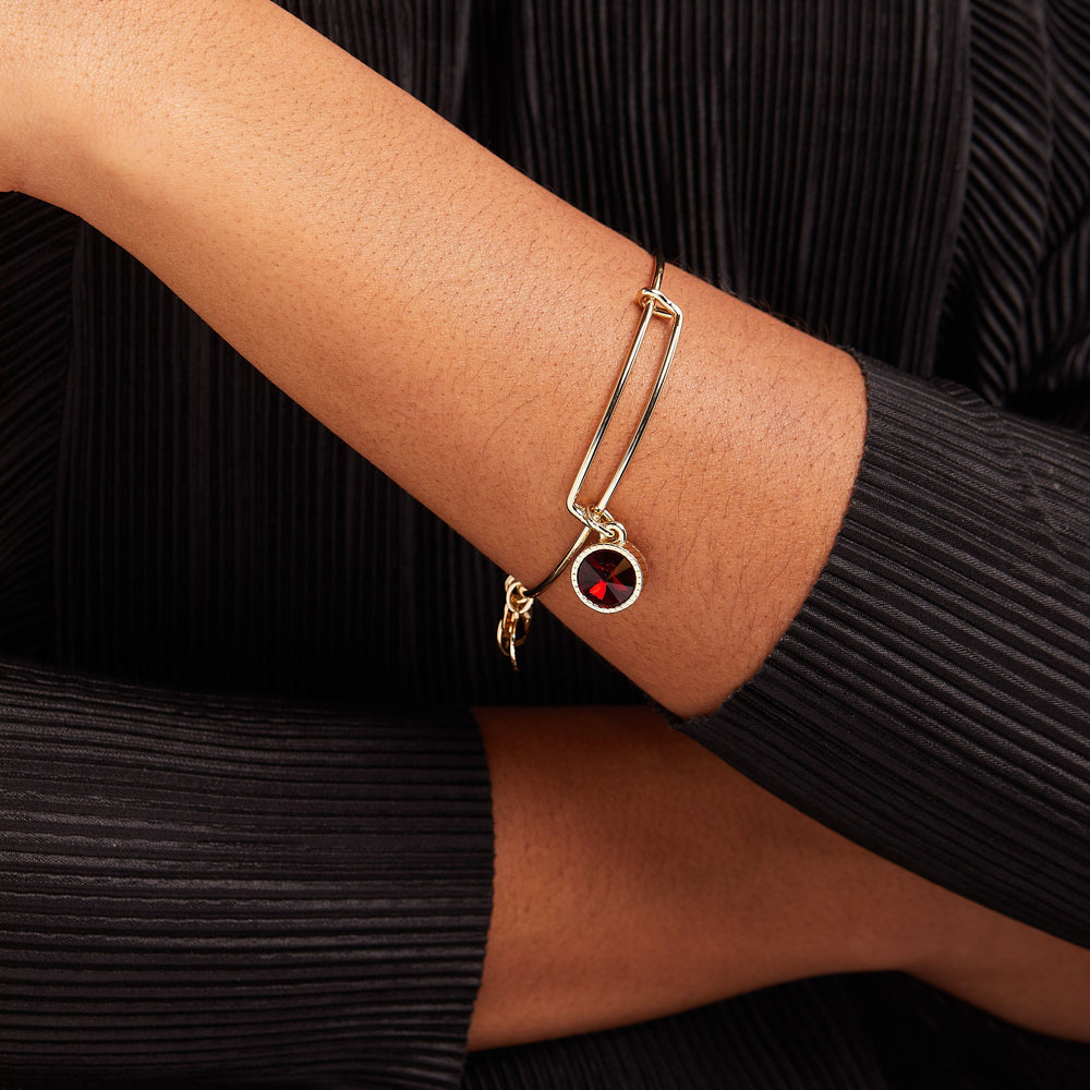 January Birthstone Charm Bangle, Scarlet, Bracelets, $ 28.00, A Moment Of Now™