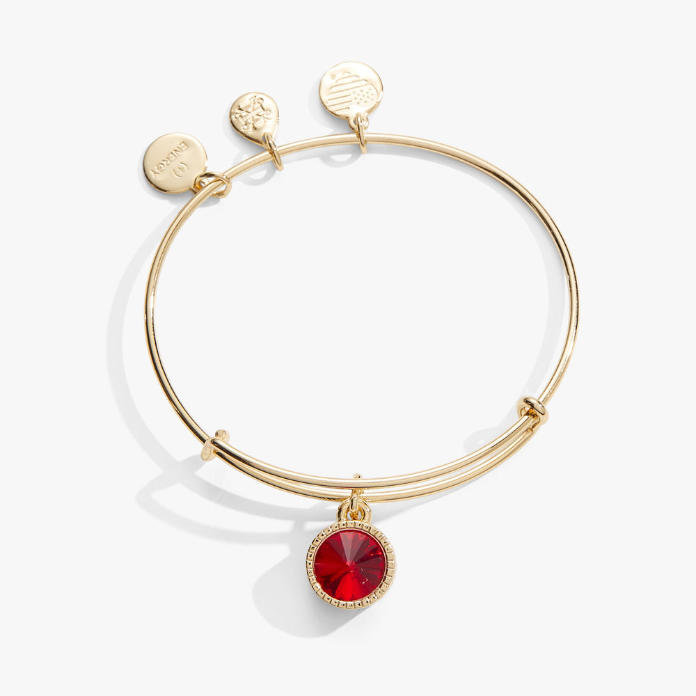 July Birthstone Charm Bangle, Ruby, Bracelets, $ 28.00, A Moment Of Now™