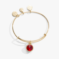 July Birthstone Charm Bangle, Ruby, Bracelets, $ 28.00, A Moment Of Now™