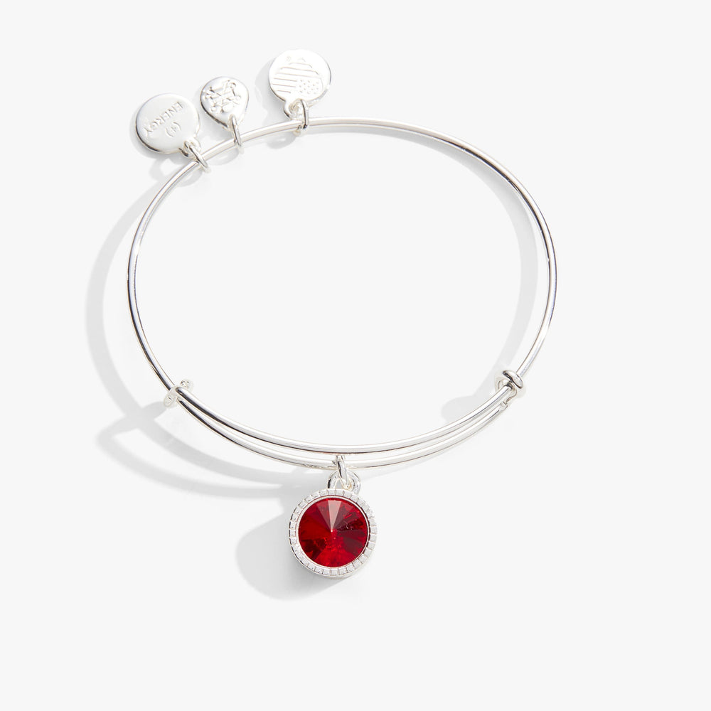 July Birthstone Charm Bangle, Ruby, Bracelets, $ 28.00, A Moment Of Now™