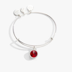 July Birthstone Charm Bangle, Ruby, Bracelets, $ 28.00, A Moment Of Now™
