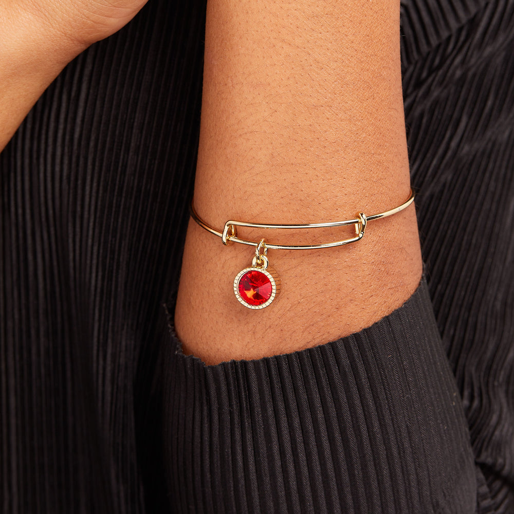 July Birthstone Charm Bangle, Ruby, Bracelets, $ 28.00, A Moment Of Now™