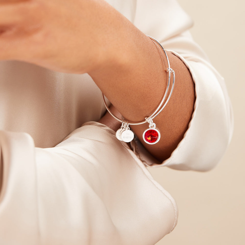 July Birthstone Charm Bangle, Ruby, Bracelets, $ 28.00, A Moment Of Now™
