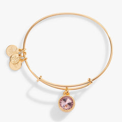 June Birthstone Charm Bangle, Light Amethyst, Bracelets, $ 28.00, A Moment Of Now™