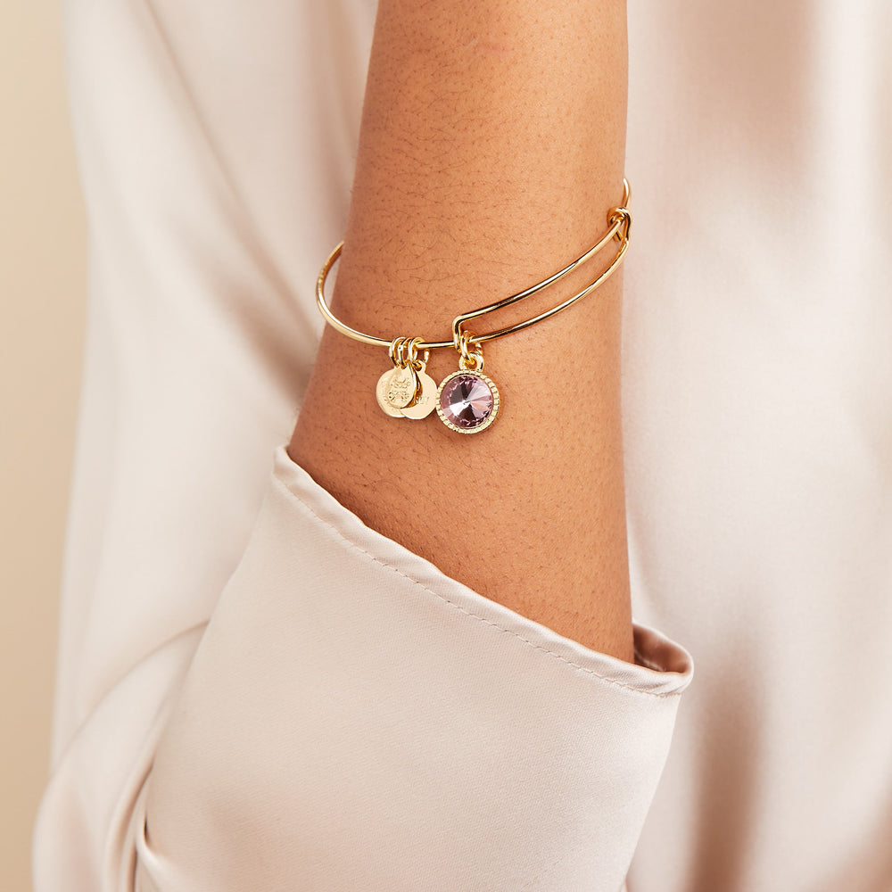 June Birthstone Charm Bangle, Light Amethyst, Bracelets, $ 28.00, A Moment Of Now™