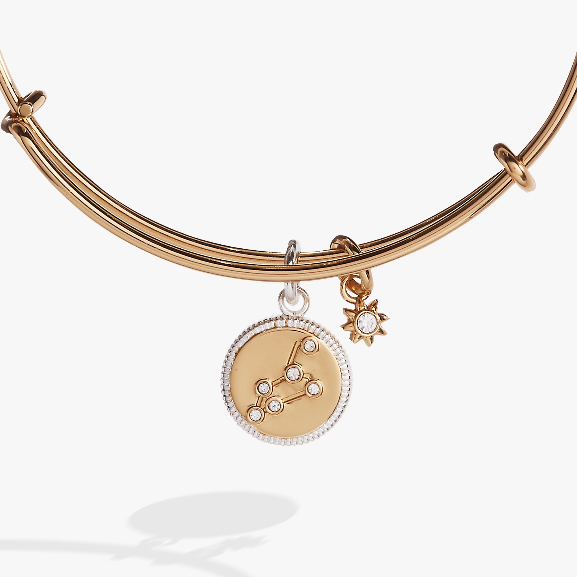 Leo Zodiac Charm Bangle, Bracelets, $ 34.00, A Moment Of Now™