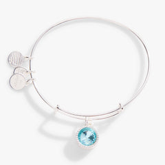 March Birthstone Charm Bangle, Aquamarine, Bracelets, $ 28.00, A Moment Of Now™