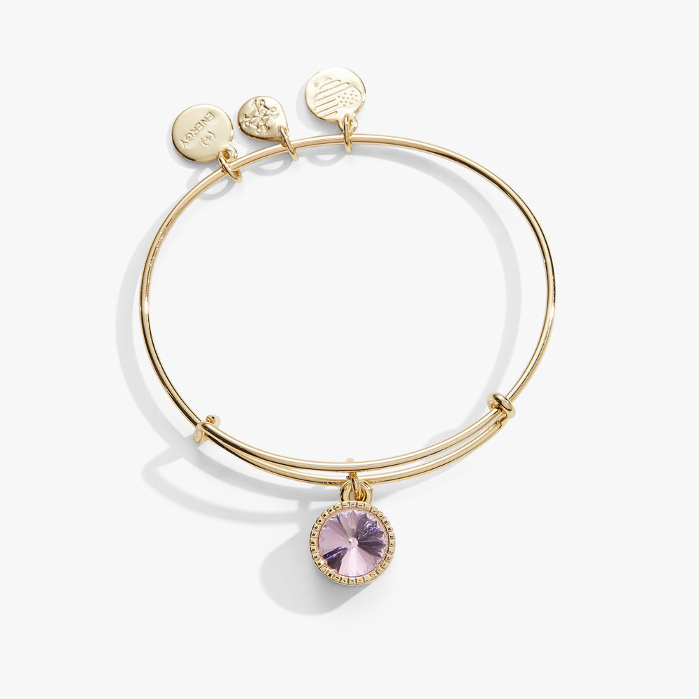 October Birthstone Charm Bangle, Rose, Bracelets, $ 28.00, A Moment Of Now™