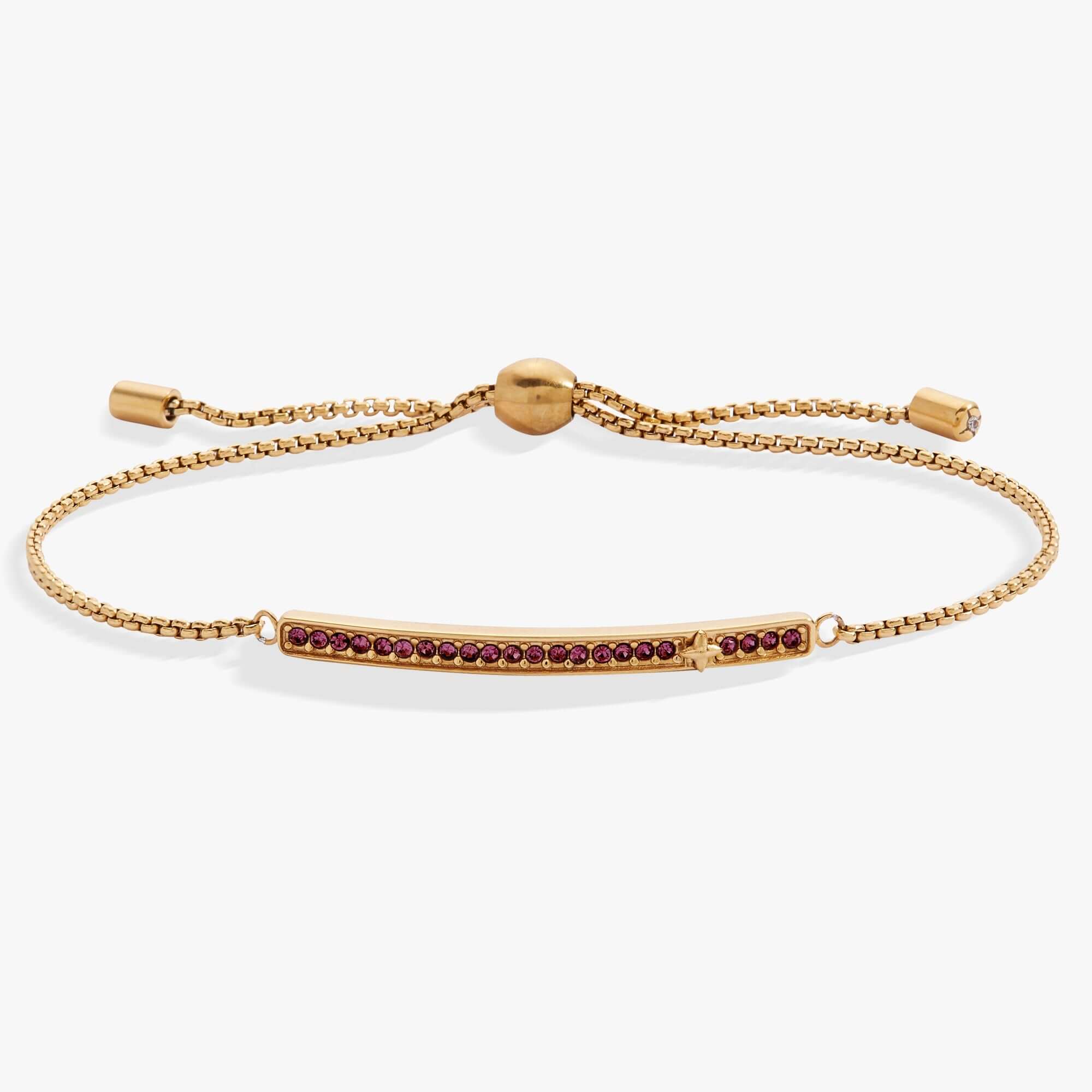 February Everyday Birthstone Pave Bolo Bracelet, Bracelets, $ 38.00, A Moment Of Now™