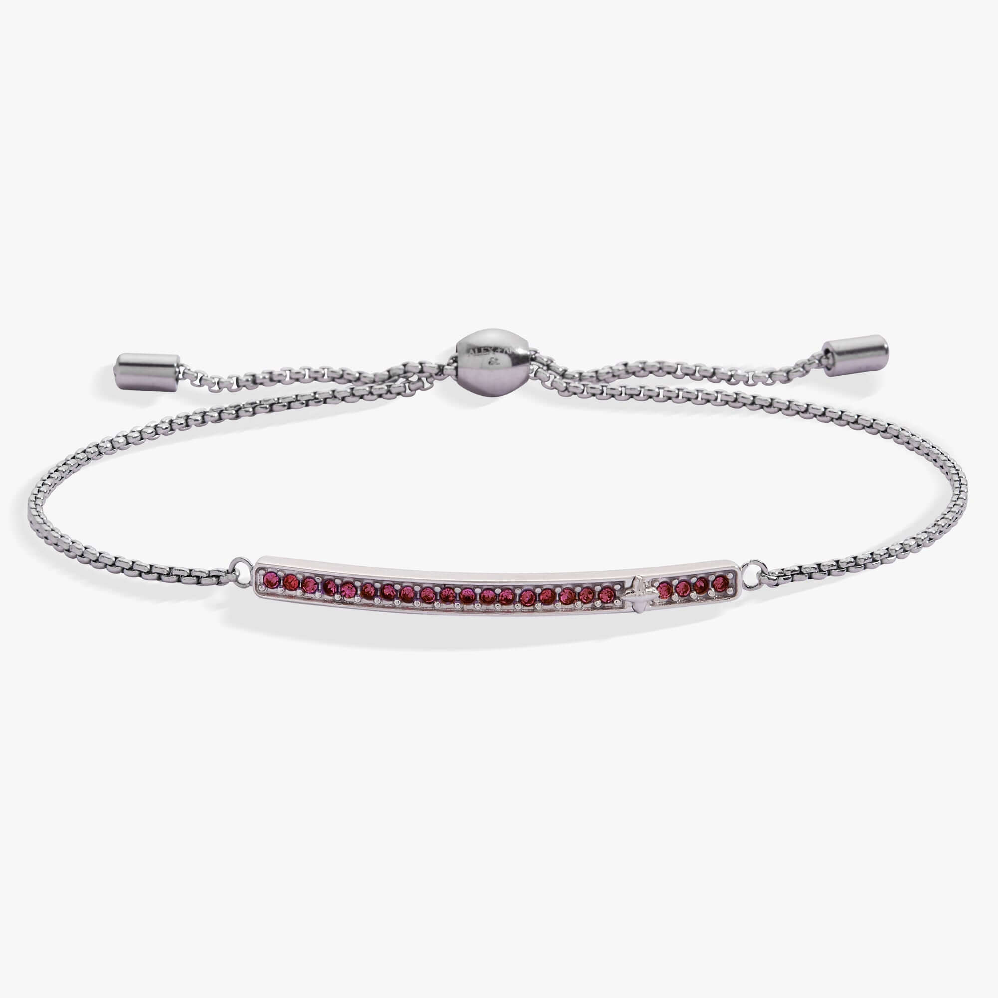 February Everyday Birthstone Pave Bolo Bracelet, Bracelets, $ 38.00, A Moment Of Now™