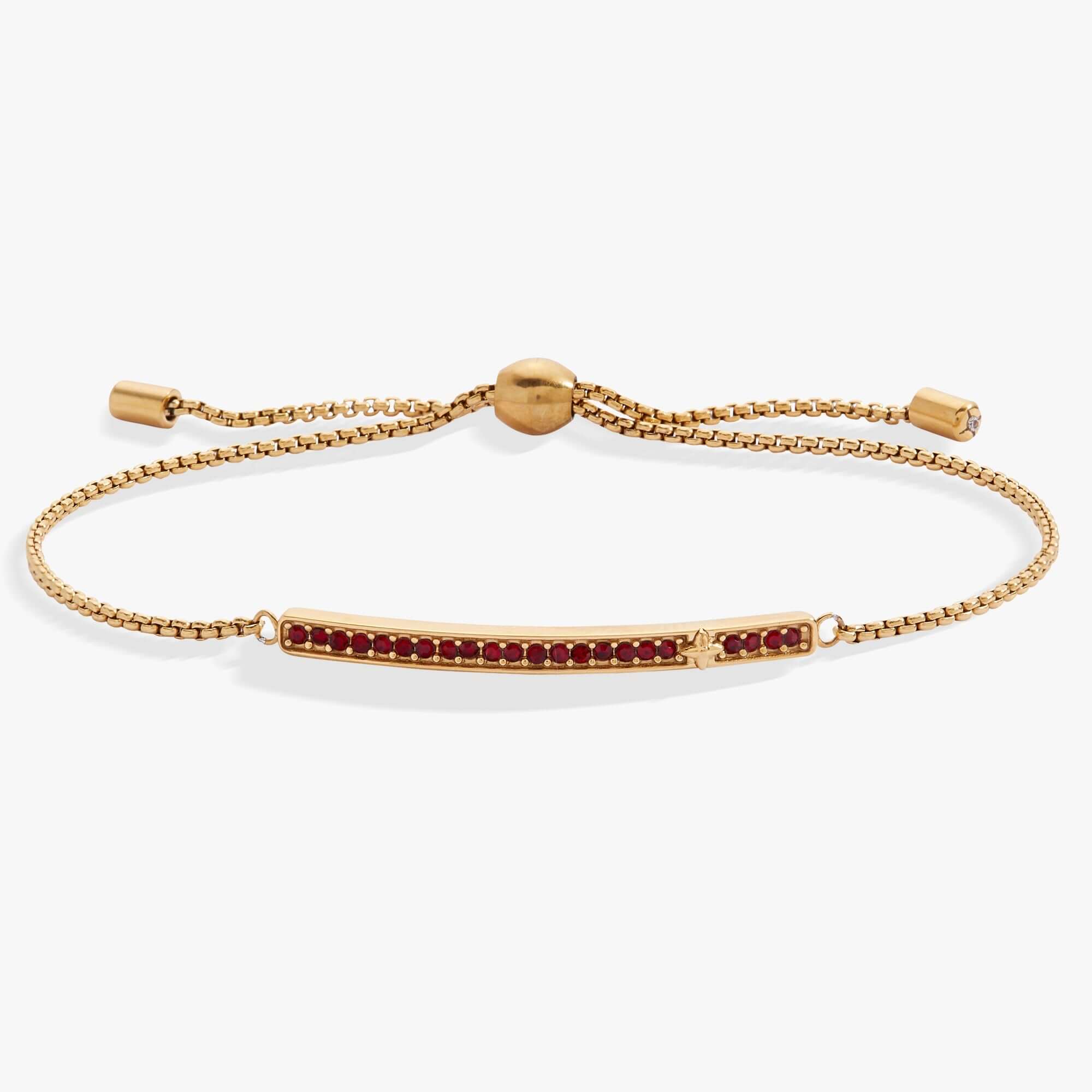 January Everyday Birthstone Pave Bolo Bracelet, Bracelets, $ 38.00, A Moment Of Now™