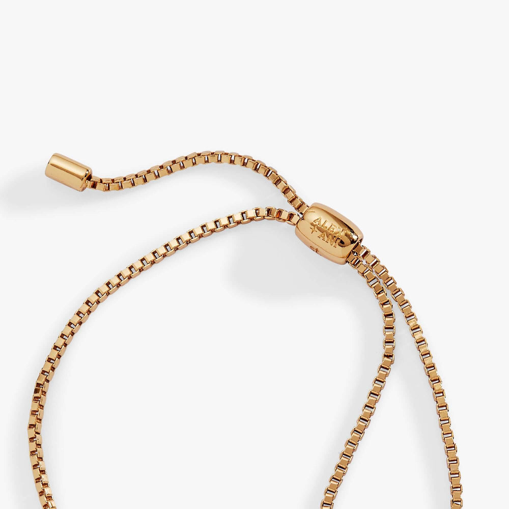 Dove 'Peace' Mother of Pearl Pull Chain Bracelet, Bracelets, $ 38.00, A Moment Of Now™