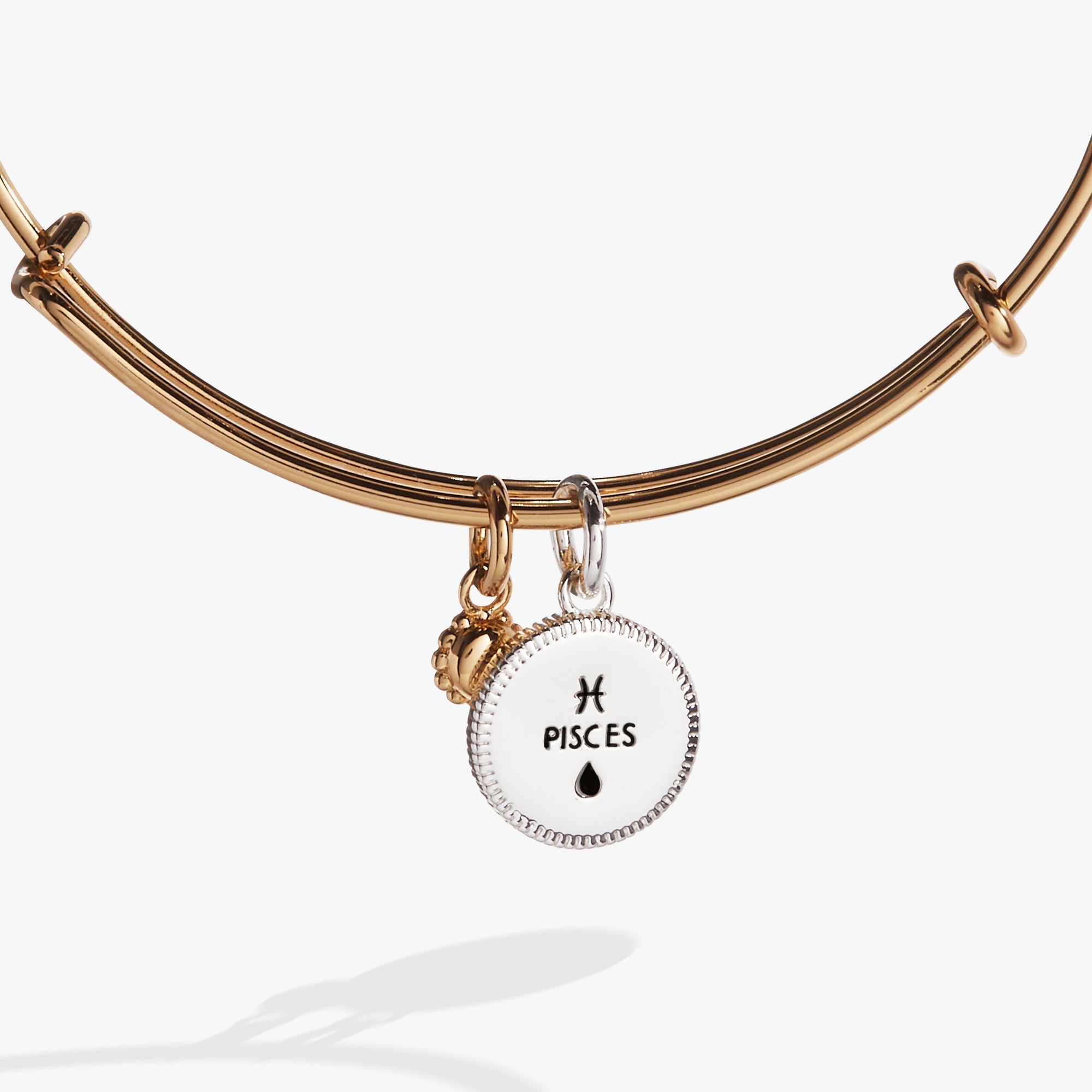 Pisces Zodiac Charm Bangle, Bracelets, $ 34.00, A Moment Of Now™