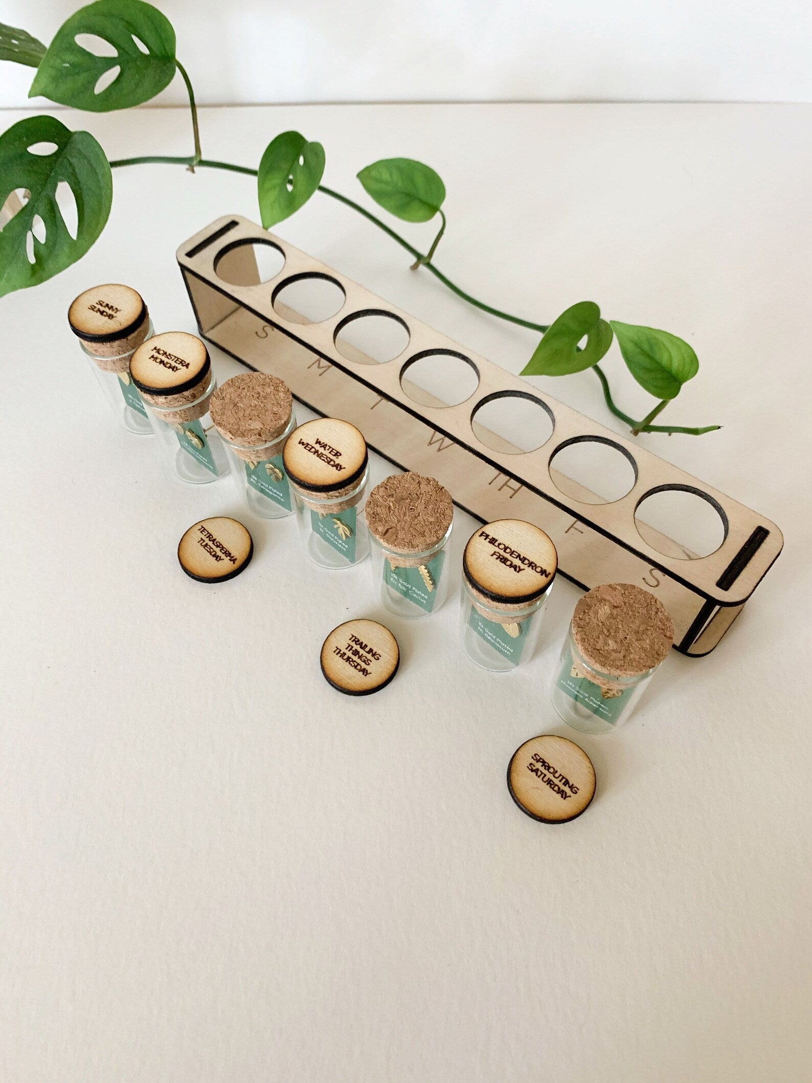 Custom Etched Propagation Stand + 3 Set Houseplant Earring Studs