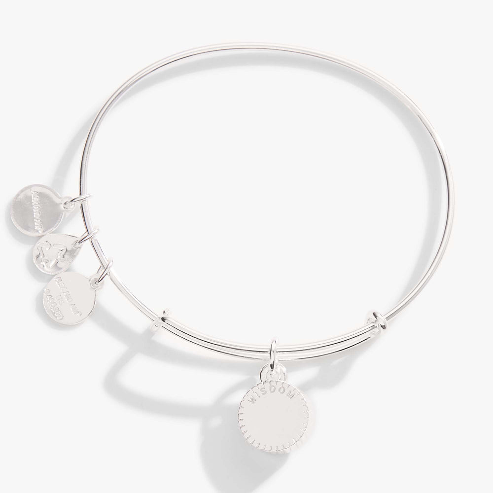 September Birthstone Charm Bangle, Sapphire, Bracelets, $ 28.00, A Moment Of Now™