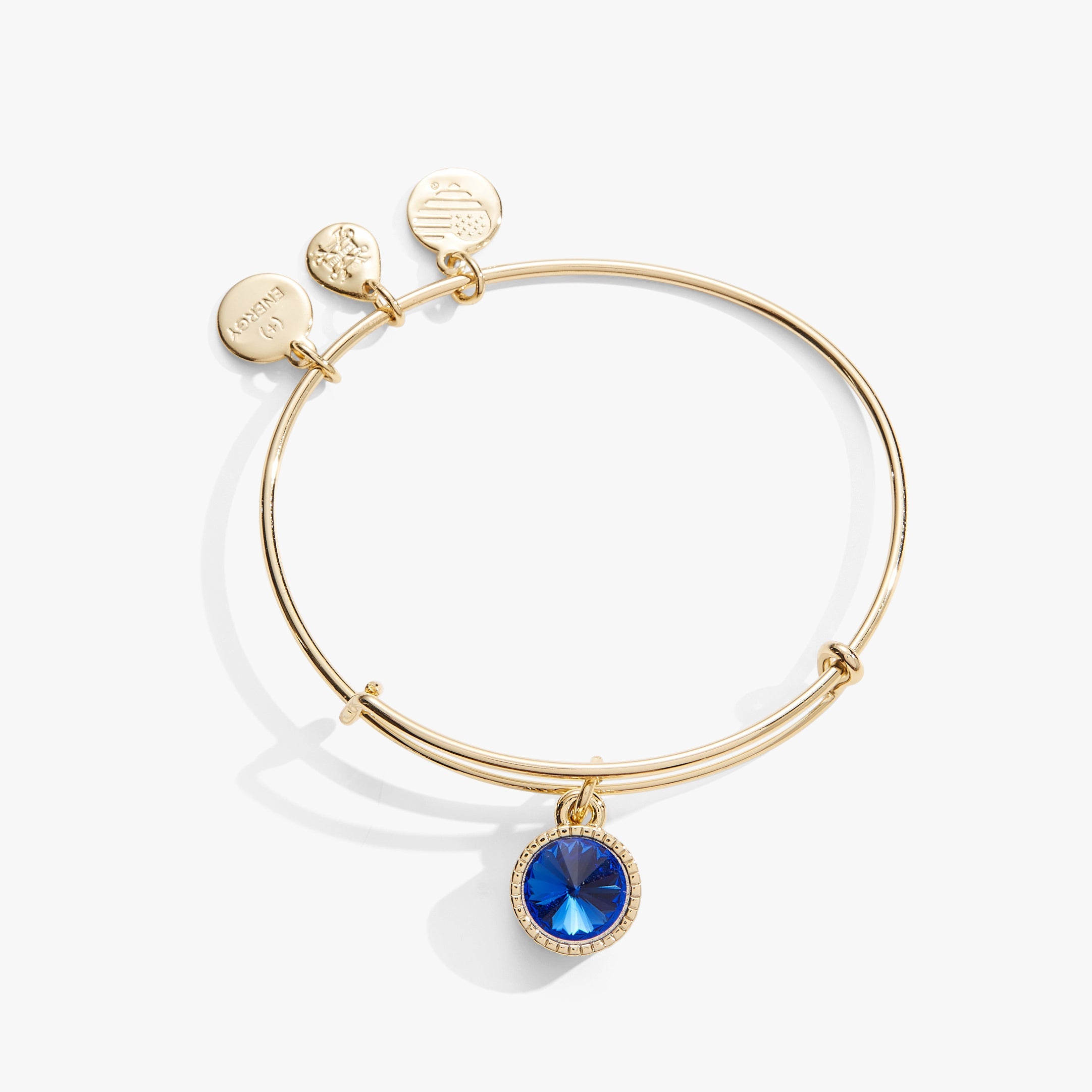 September Birthstone Charm Bangle, Sapphire, Bracelets, $ 28.00, A Moment Of Now™