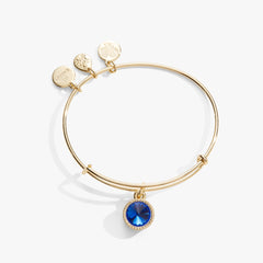 September Birthstone Charm Bangle, Sapphire, Bracelets, $ 28.00, A Moment Of Now™
