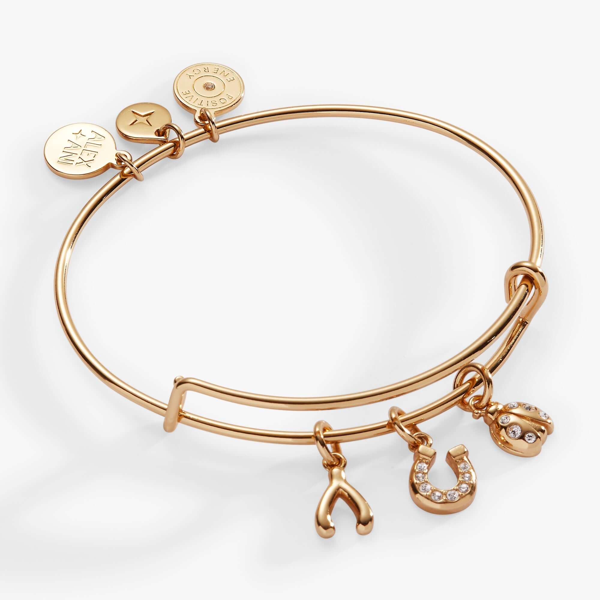 Love and Luck Multi-Charm Bangle, Bracelets, $ 38.00, A Moment Of Now™