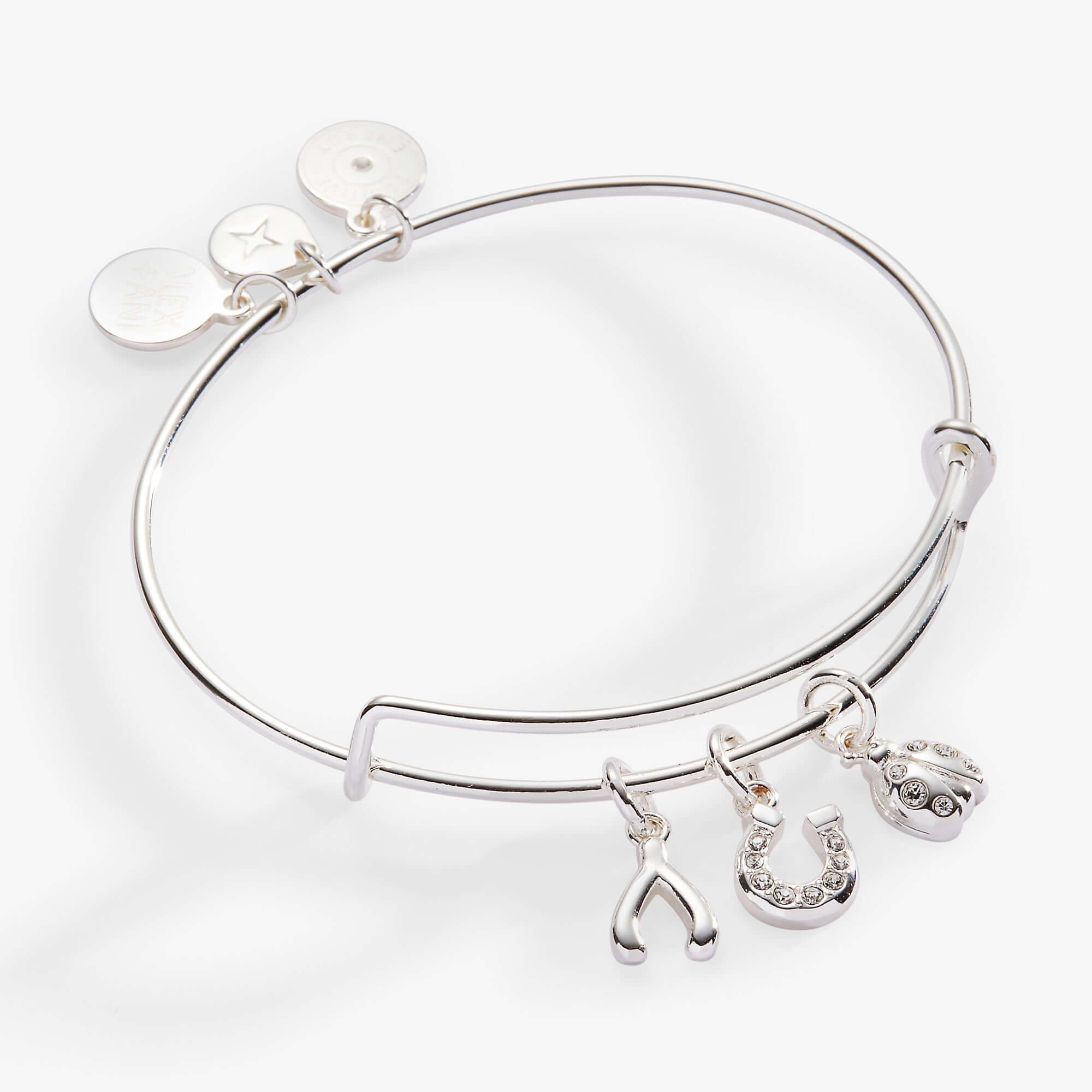 Love and Luck Multi-Charm Bangle, Bracelets, $ 38.00, A Moment Of Now™