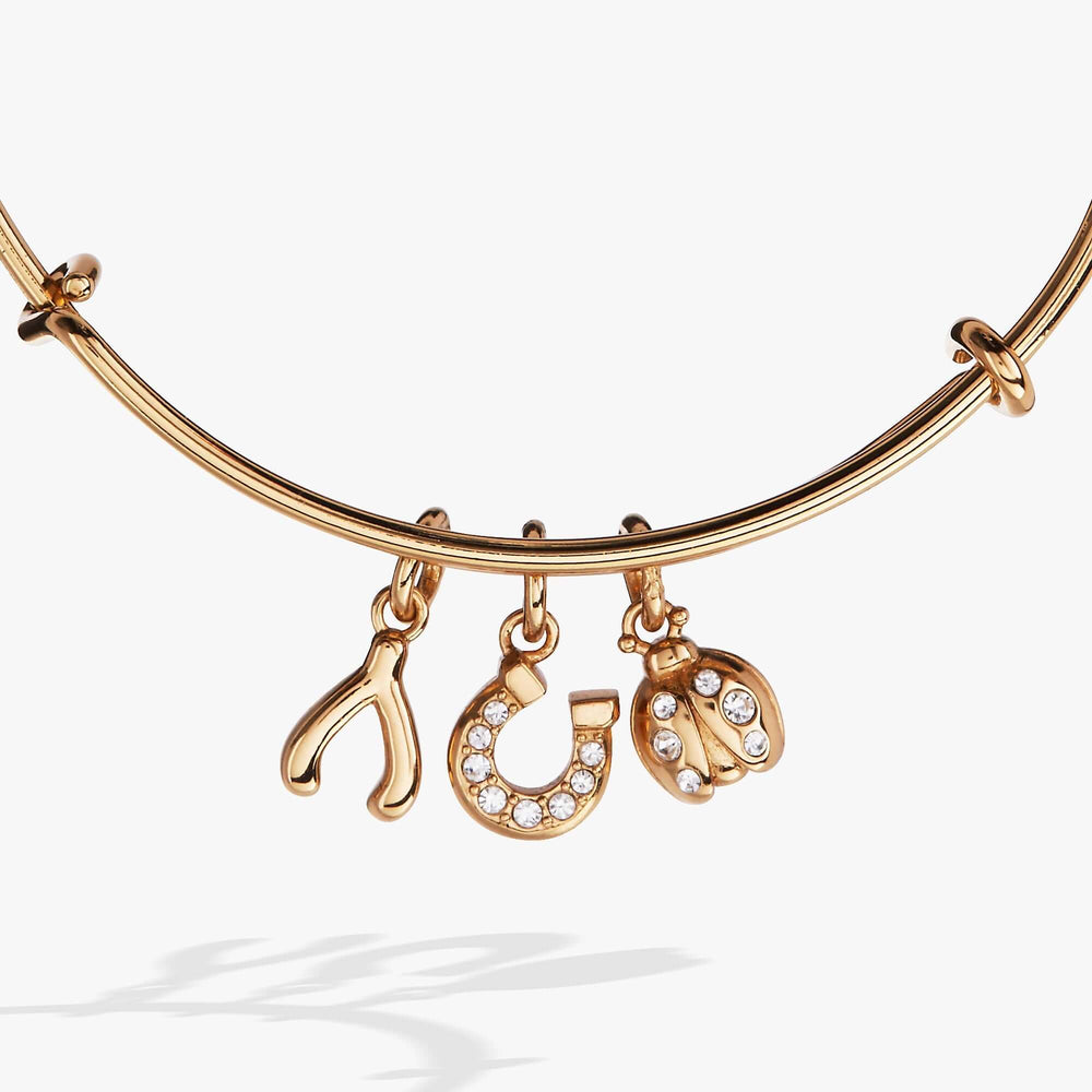 Love and Luck Multi-Charm Bangle, Bracelets, $ 38.00, A Moment Of Now™