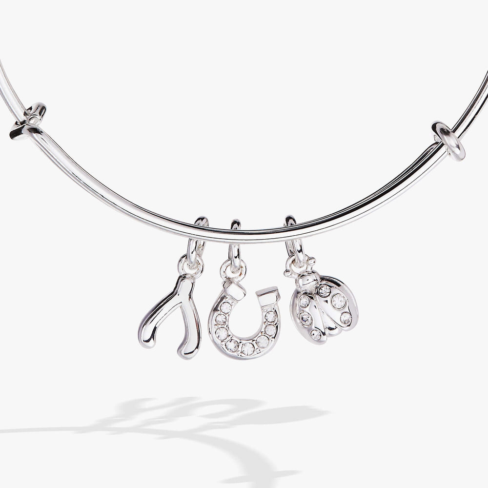 Love and Luck Multi-Charm Bangle, Bracelets, $ 38.00, A Moment Of Now™