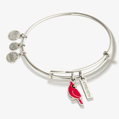 'Strength' Cardinal Duo Charm Bangle Bracelet, Bracelets, $ 28.00, A Moment Of Now™