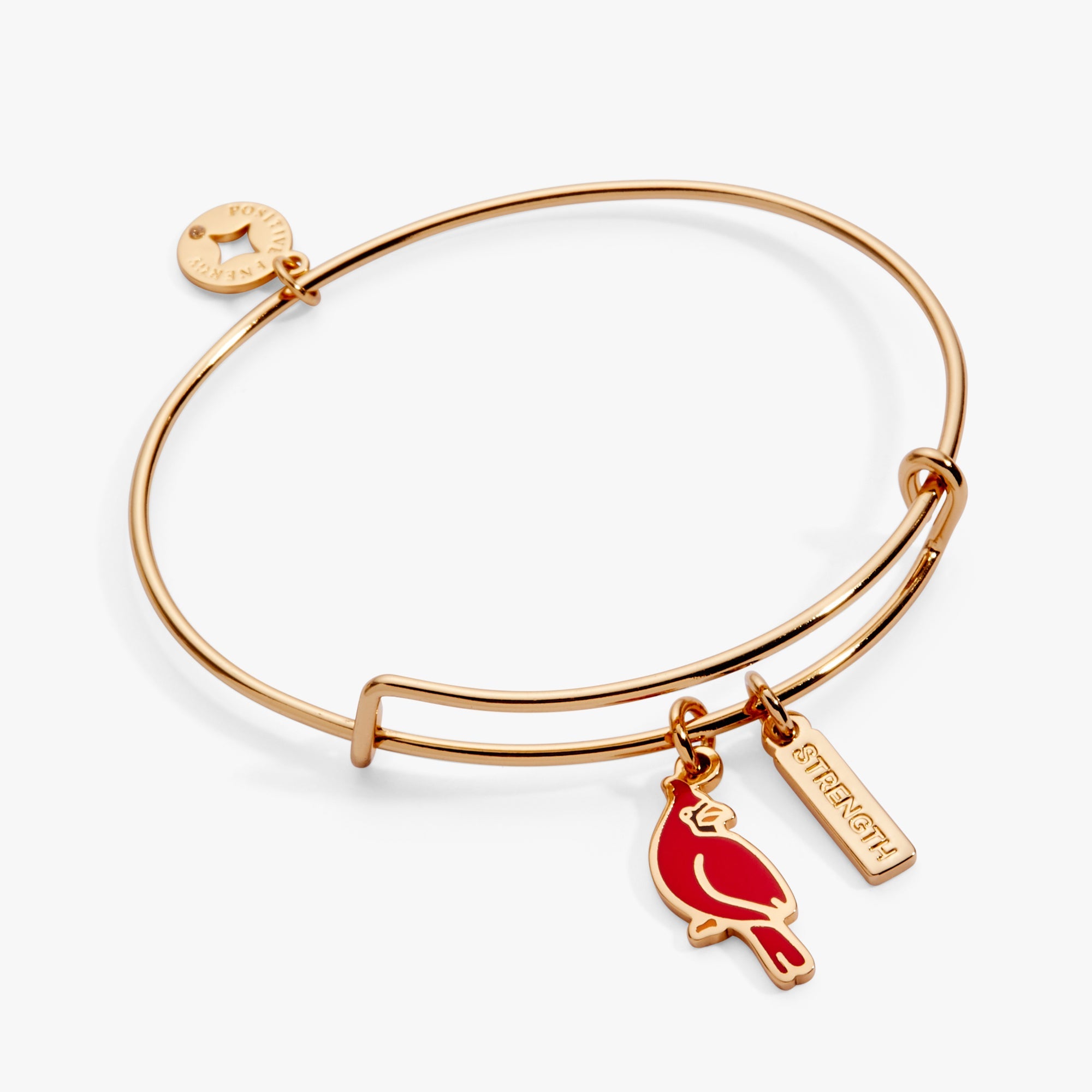 'Strength' Cardinal Duo Charm Bangle Bracelet, Bracelets, $ 28.00, A Moment Of Now™