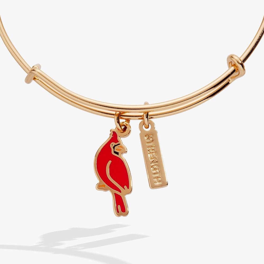 'Strength' Cardinal Duo Charm Bangle Bracelet, Bracelets, $ 28.00, A Moment Of Now™
