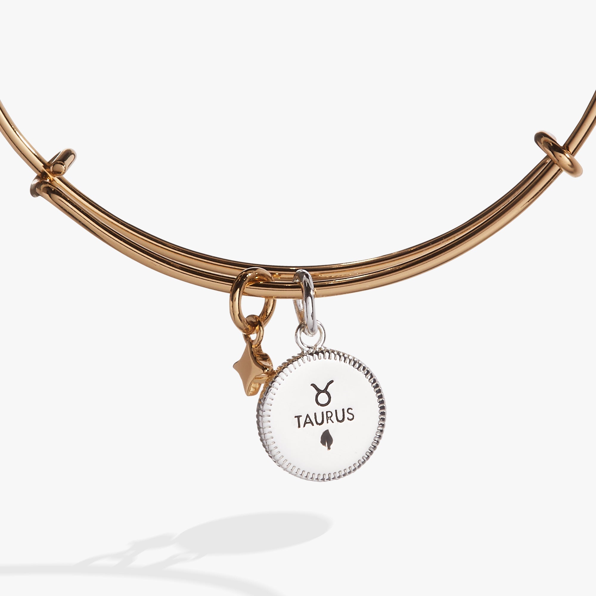 Taurus Zodiac Charm Bangle, Bracelets, $ 34.00, A Moment Of Now™