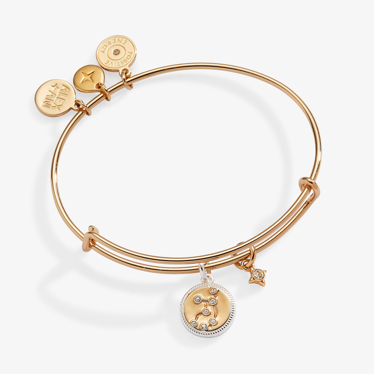 Virgo Zodiac Charm Bangle, Bracelets, $ 34.00, A Moment Of Now™