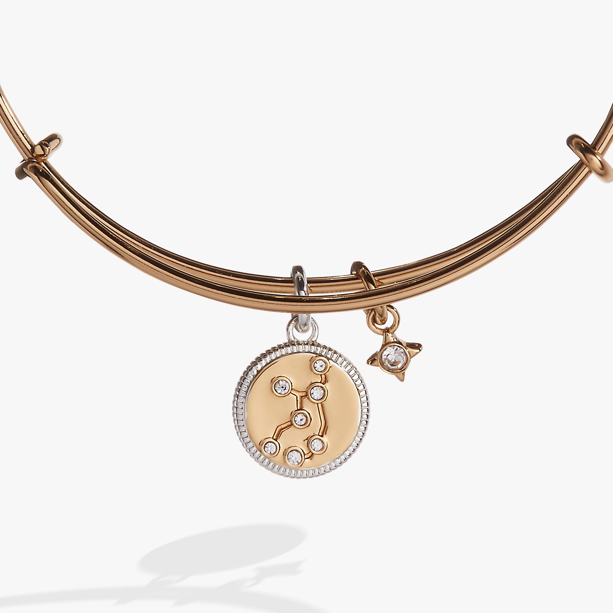 Virgo Zodiac Charm Bangle, Bracelets, $ 34.00, A Moment Of Now™