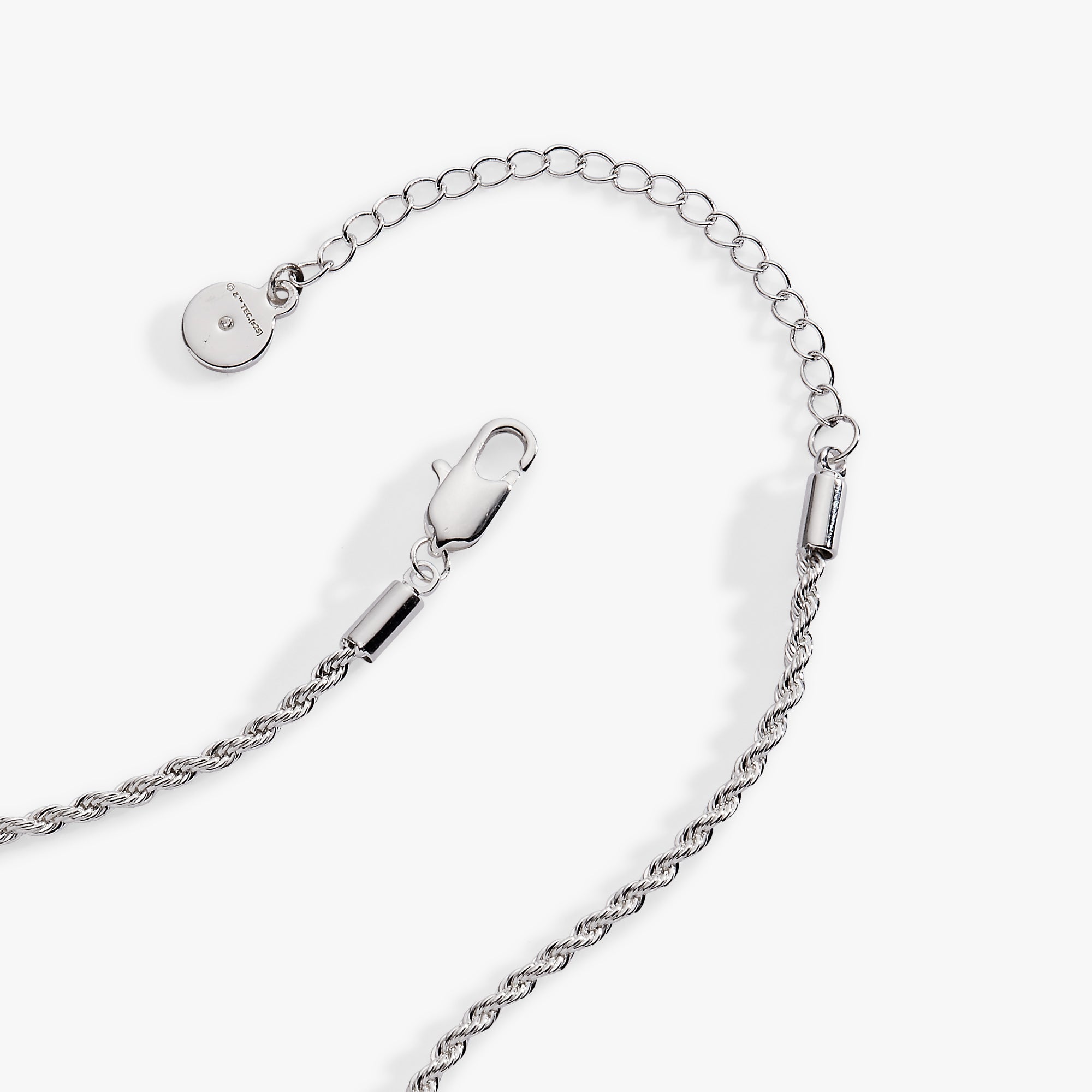 The Wizard of Oz™ Wicked Witch Charm Pendant