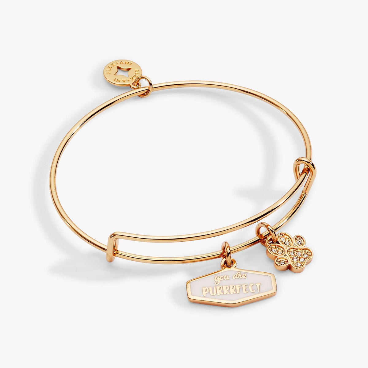 You Are Purrrfect Charm Bangle, Bracelets, $ 16.90, A Moment Of Now™