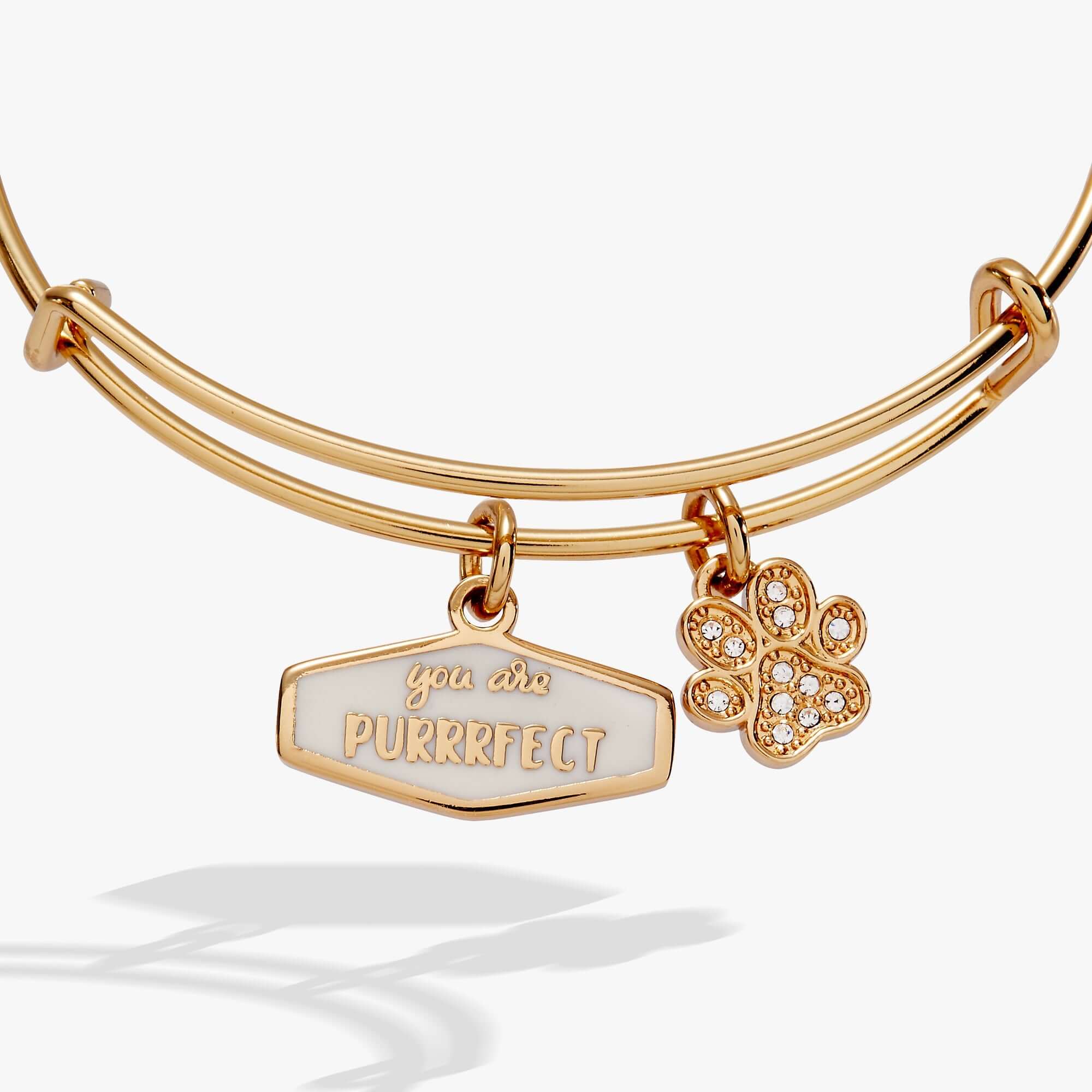 You Are Purrrfect Charm Bangle, Bracelets, $ 16.90, A Moment Of Now™