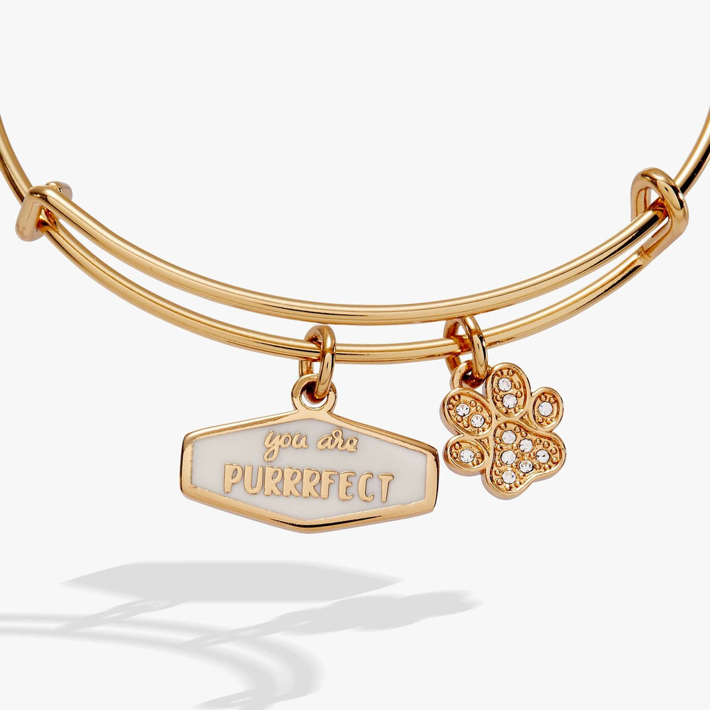 You Are Purrrfect Charm Bangle, Bracelets, $ 16.90, A Moment Of Now™