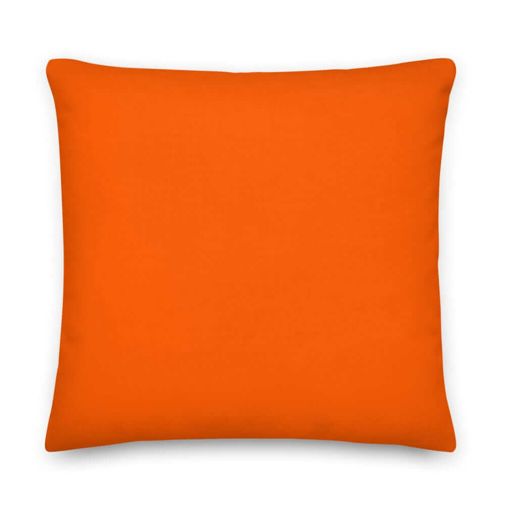 Orange accent pillow for sofa or bed
