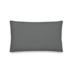 Shop Dim Gray Pastel Color Decorative Throw Pillow Cushion, Pillow, USA Boutique