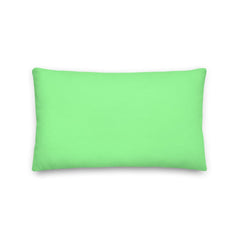 Shop Mint Green Decorative Throw Pillow Accent Cushion, Pillow, USA Boutique
