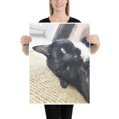 Shop Spike The Kitty Cat Matte Poster, Poster, USA Boutique